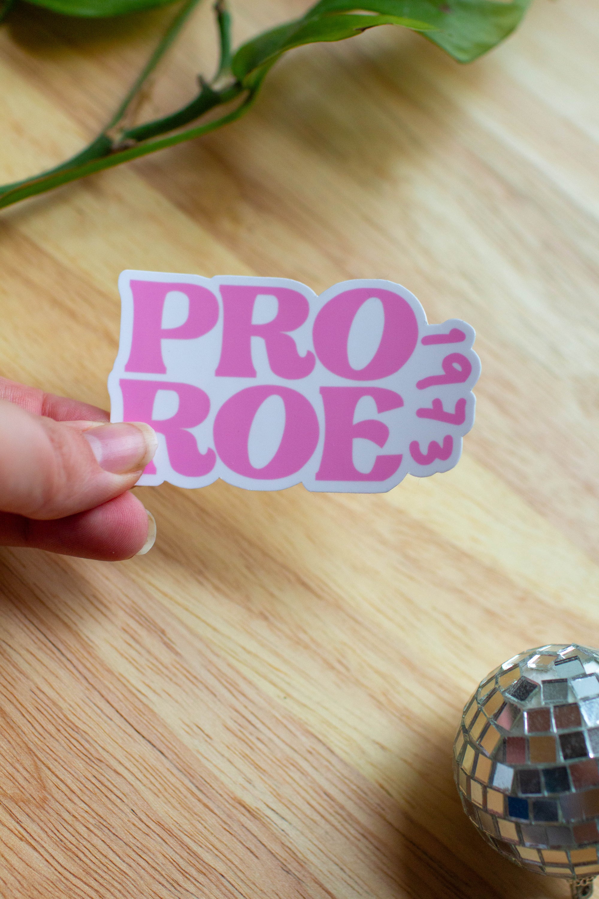 Pro Roe 1973 Sticker