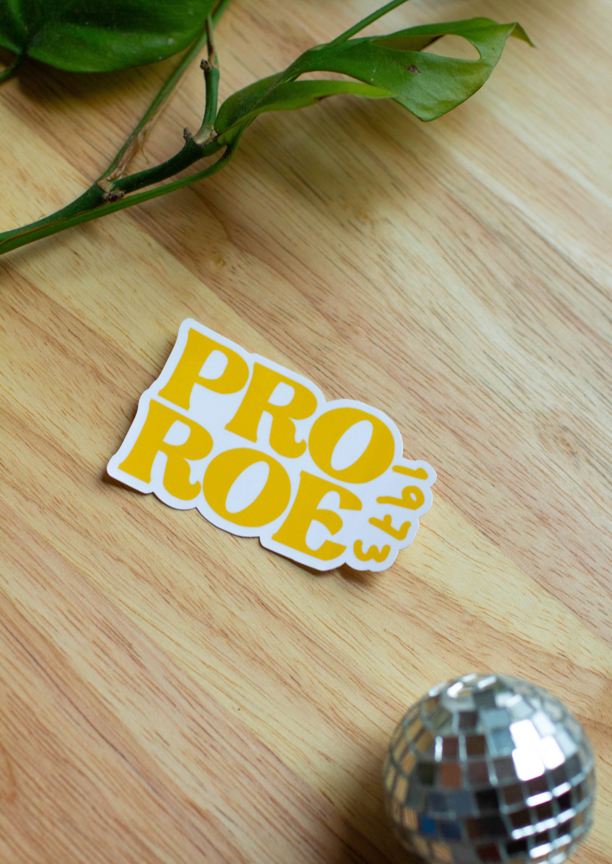 Pro Roe 1973 Sticker