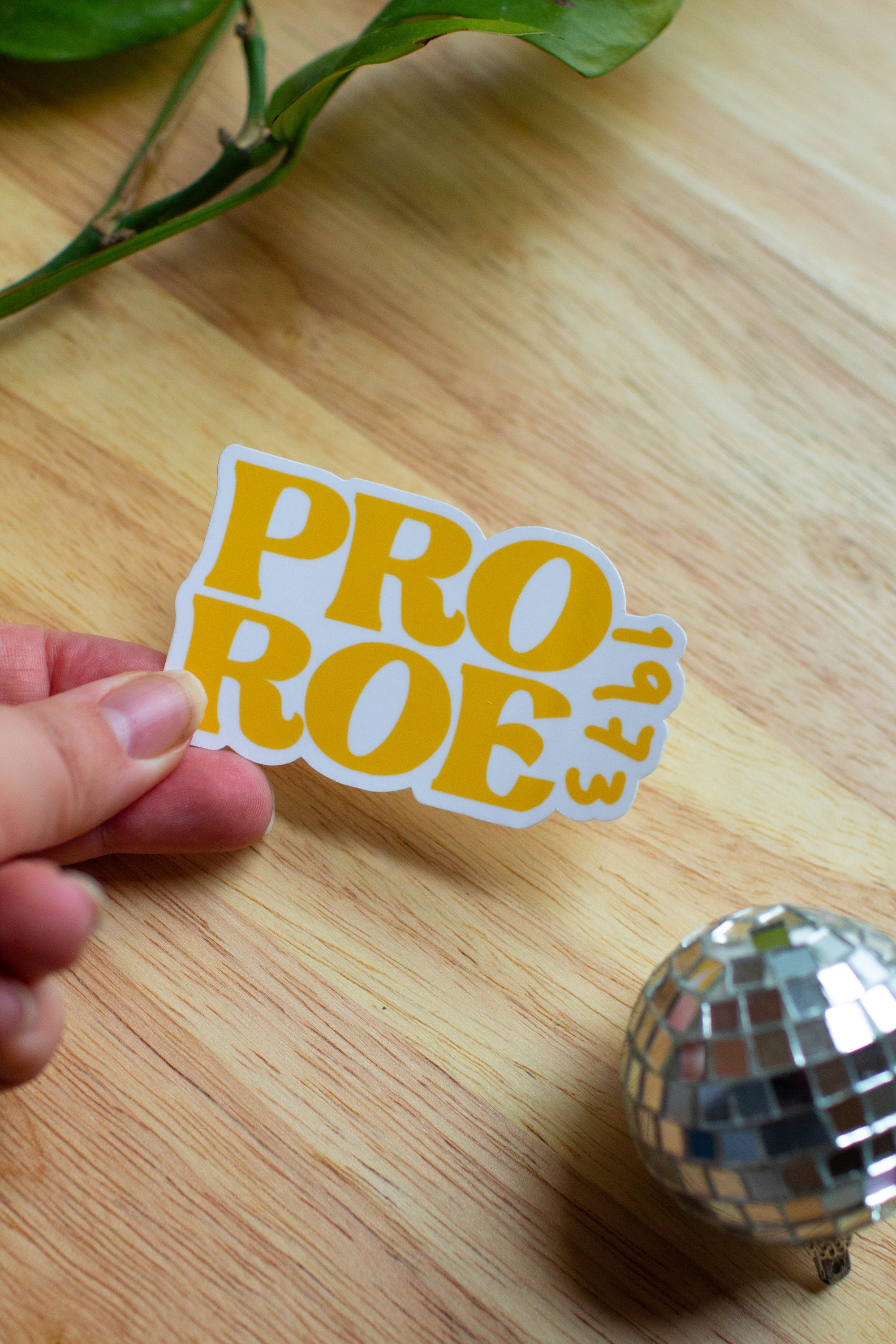 Pro Roe 1973 Sticker