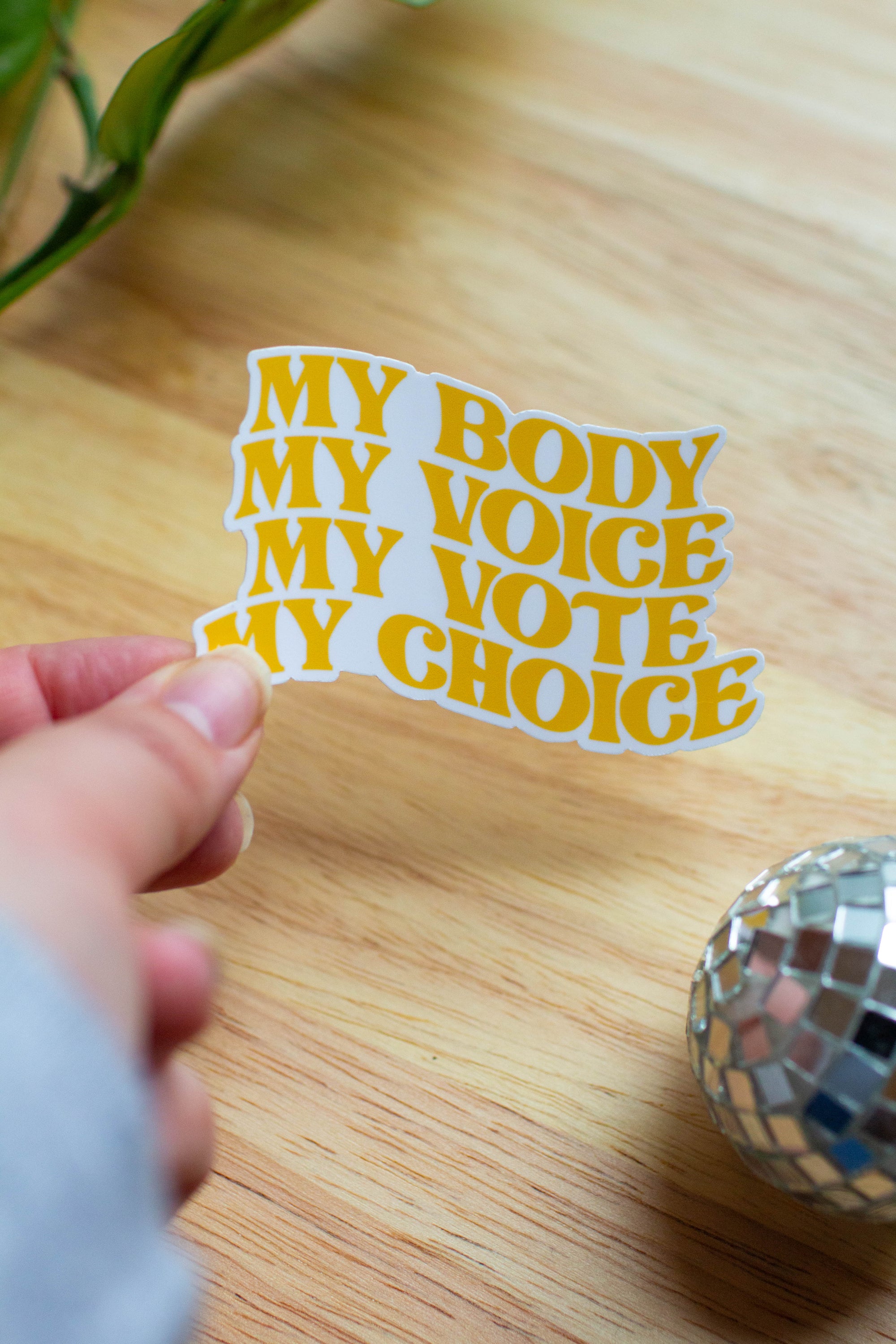 My Body My Voice My Vote My Choice Sticker