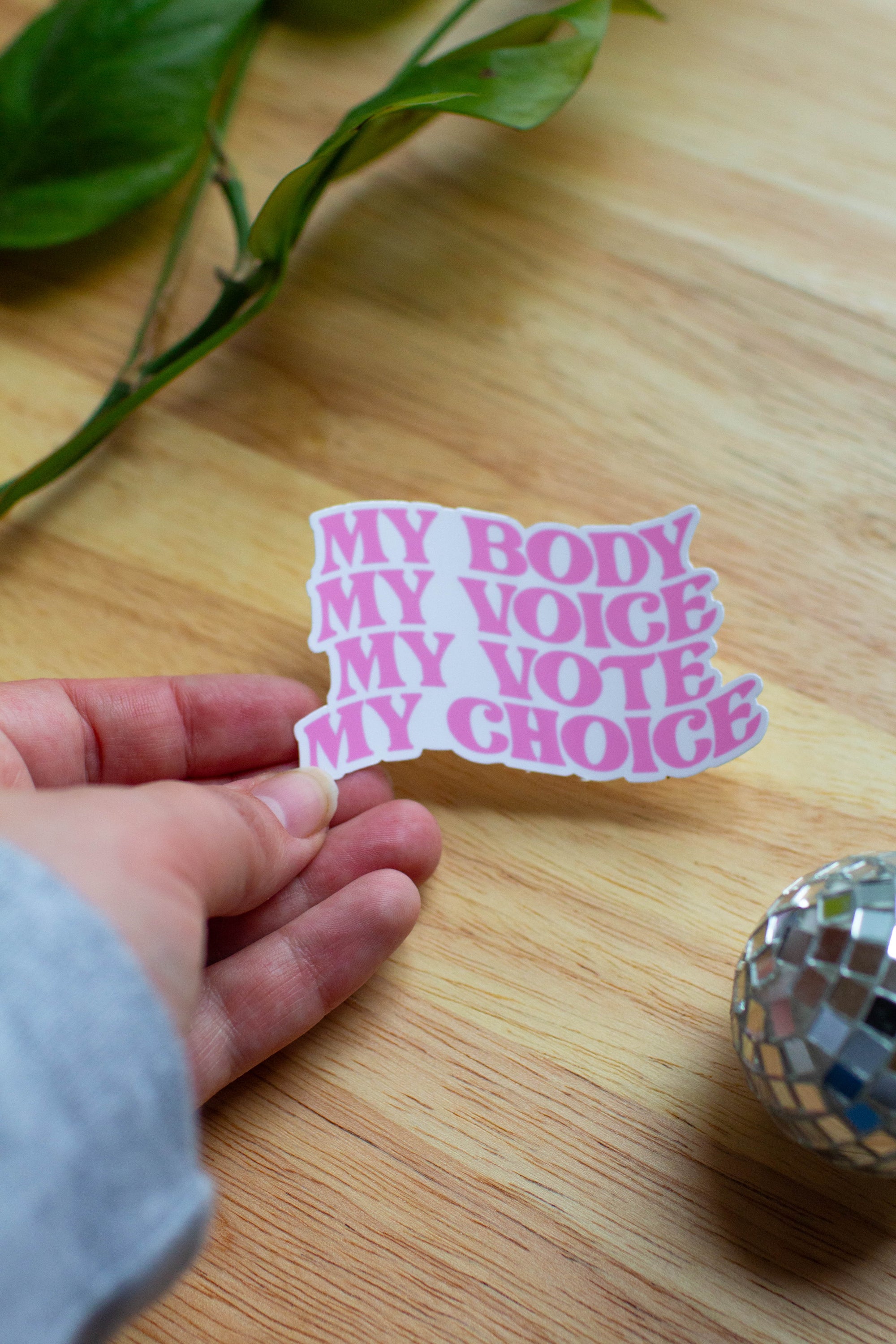 My Body My Voice My Vote My Choice Sticker