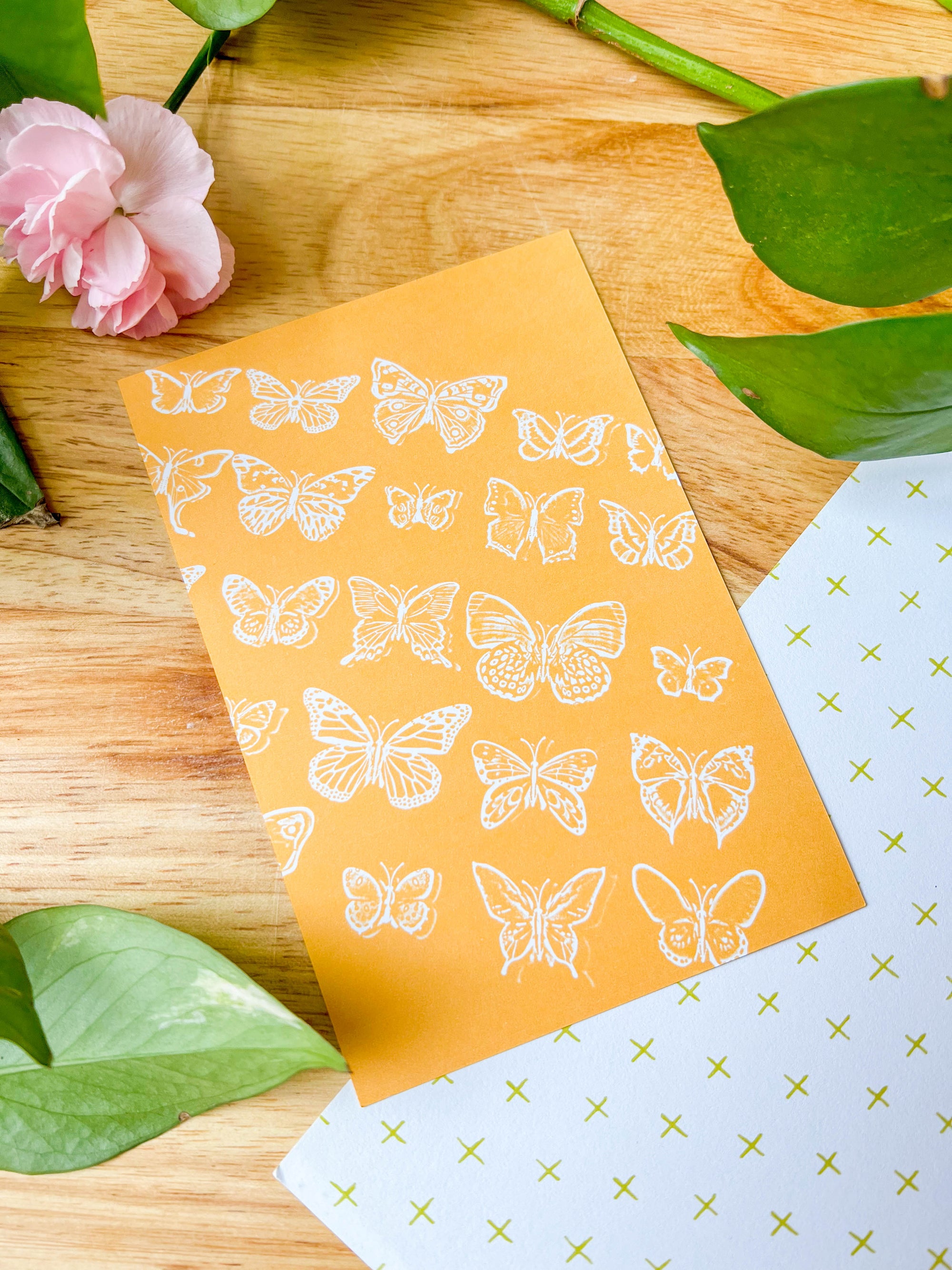 Butterfly Postcards