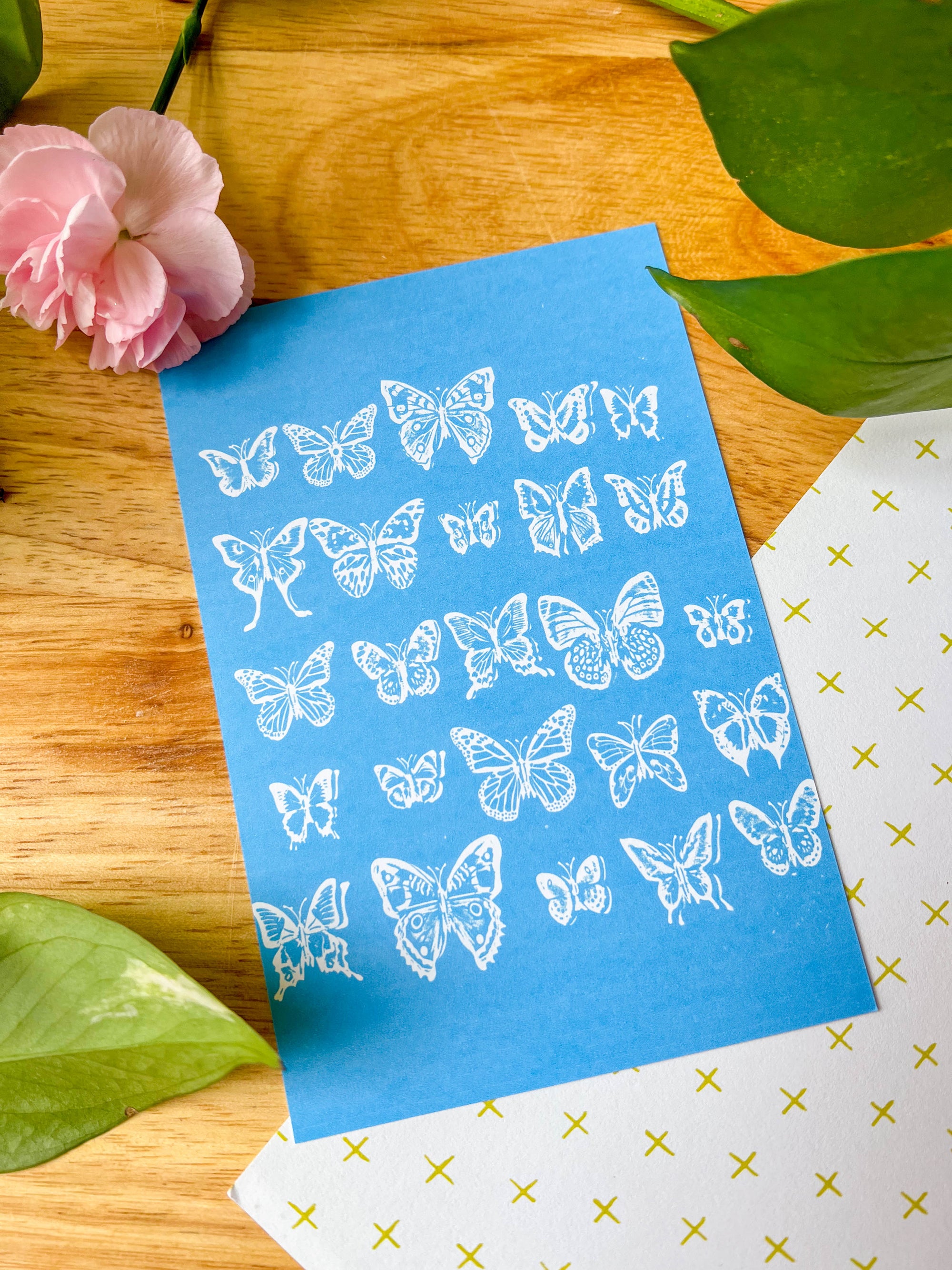 Butterfly Postcards