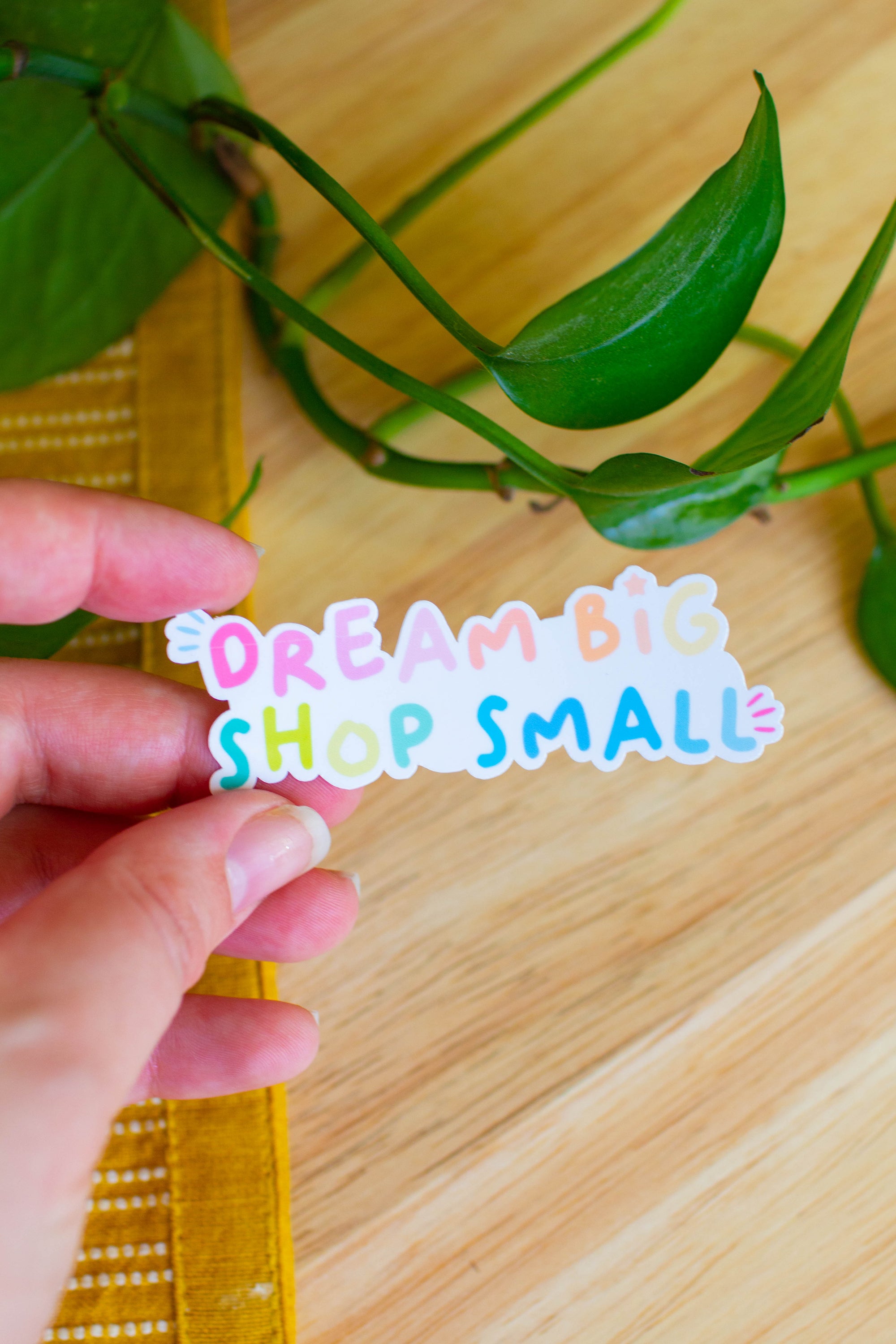 Dream Big Shop Small Sticker