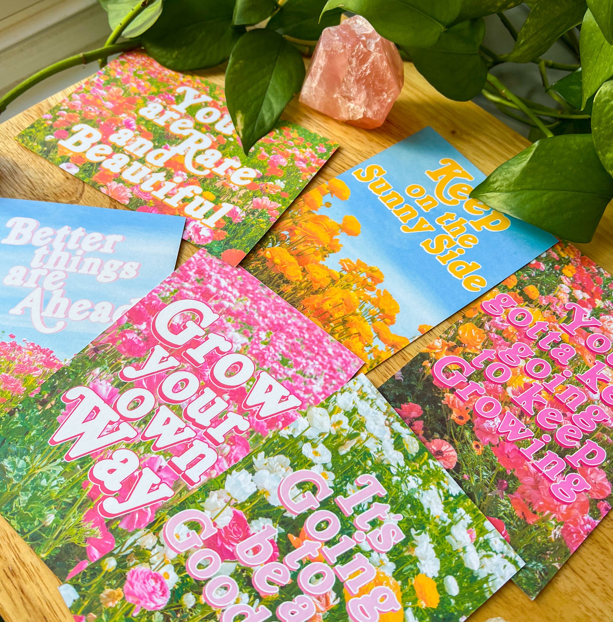 Flower Field Postcards