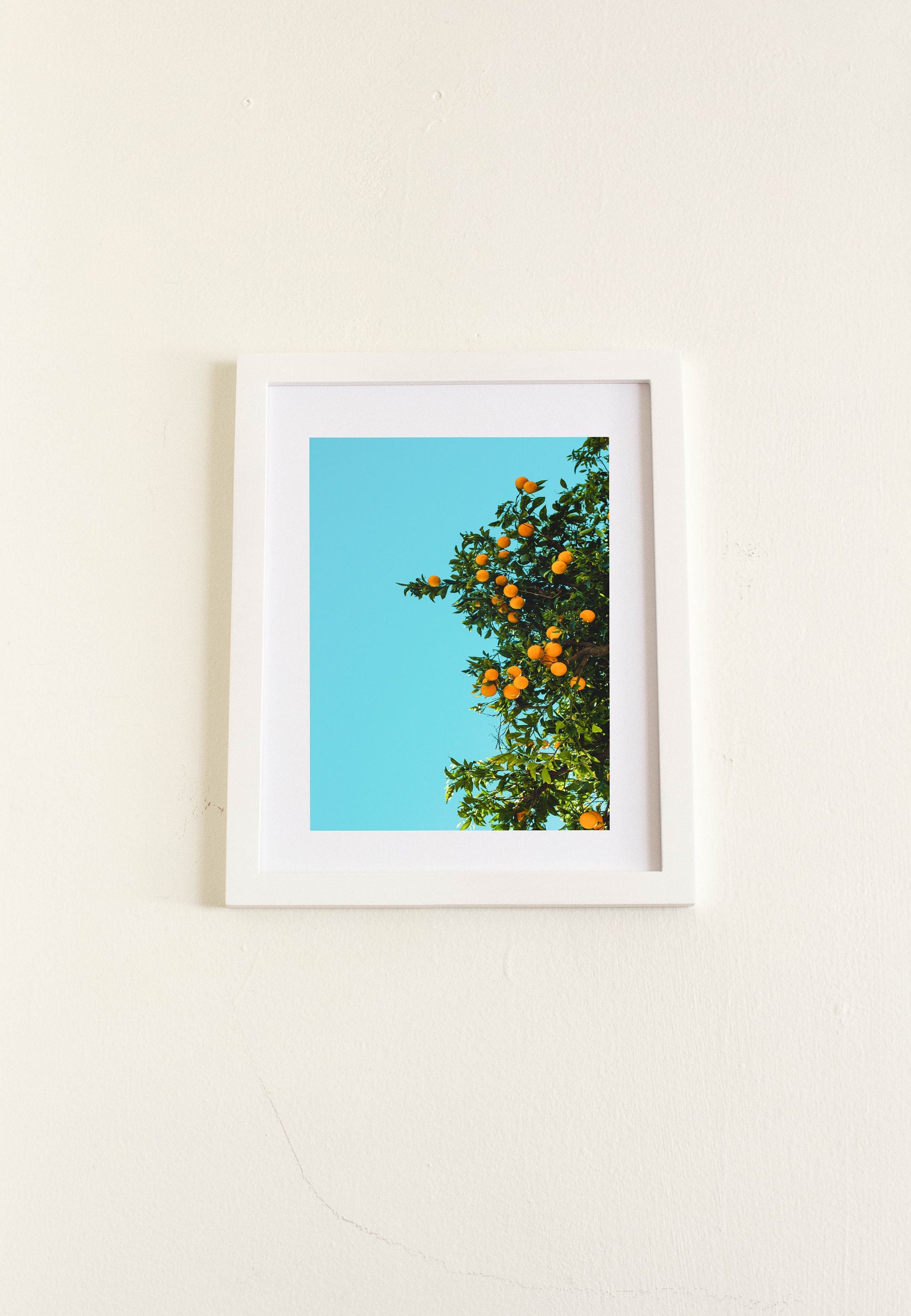 Citrus Dream Print