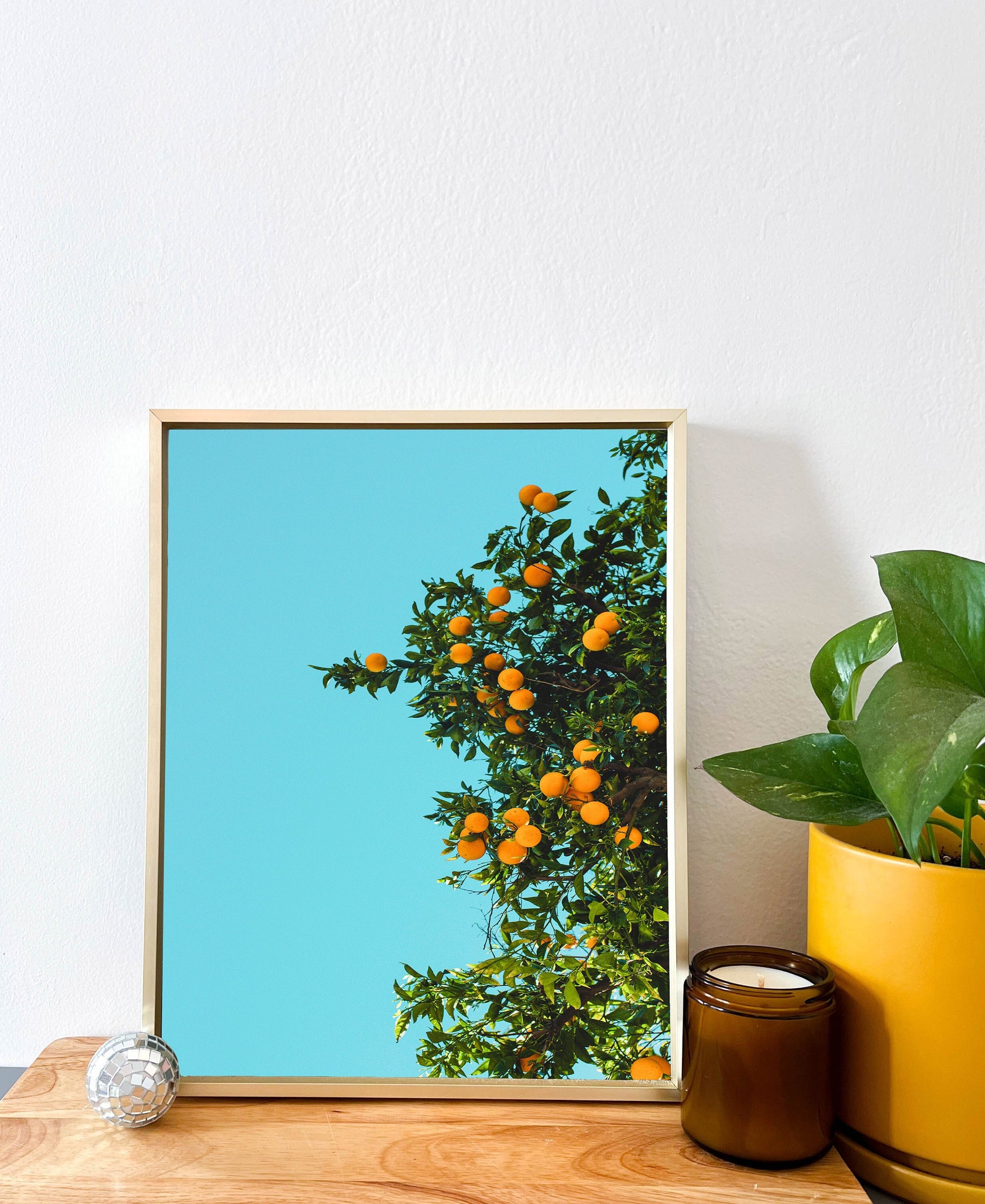 Citrus Dream Print