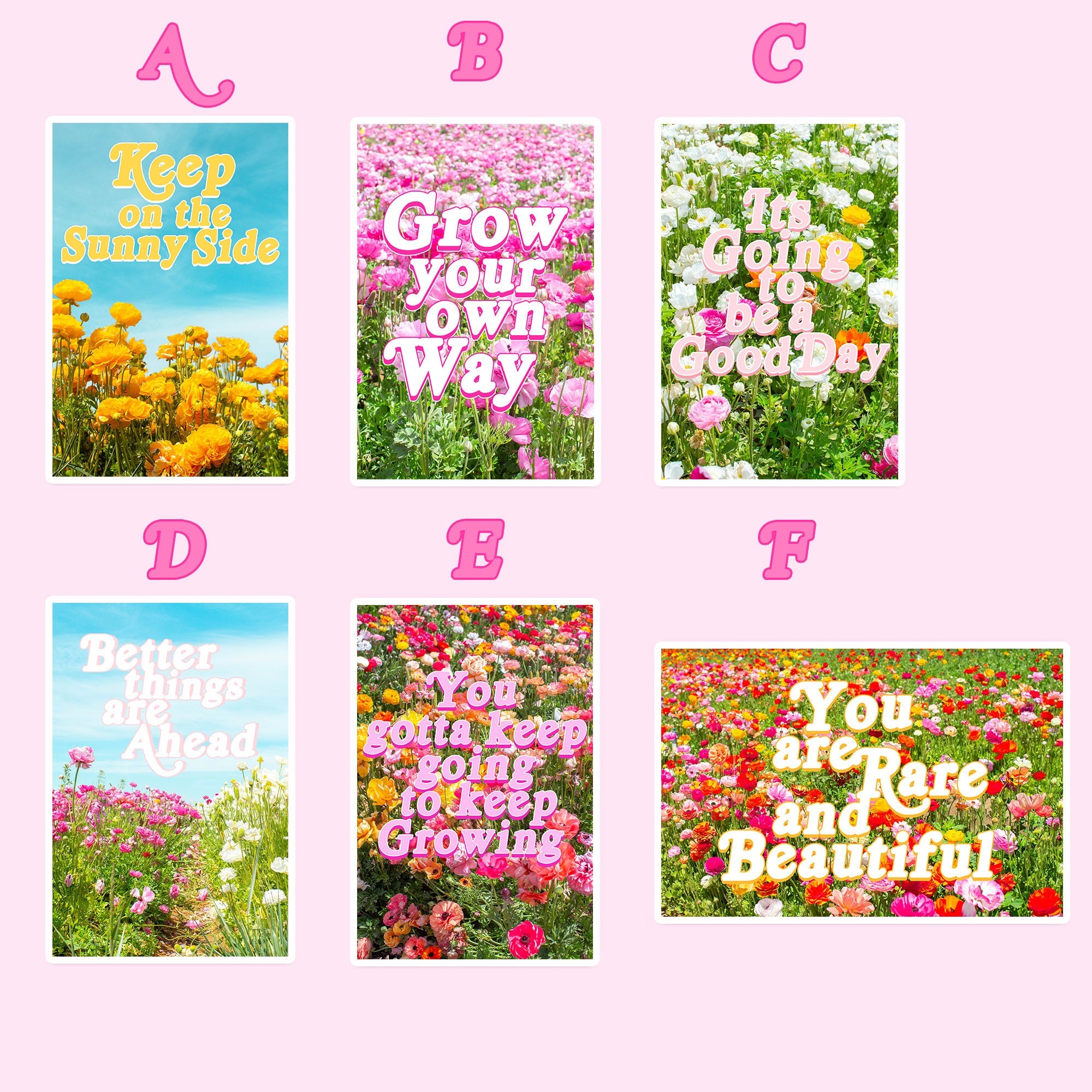 Flower Field Postcards