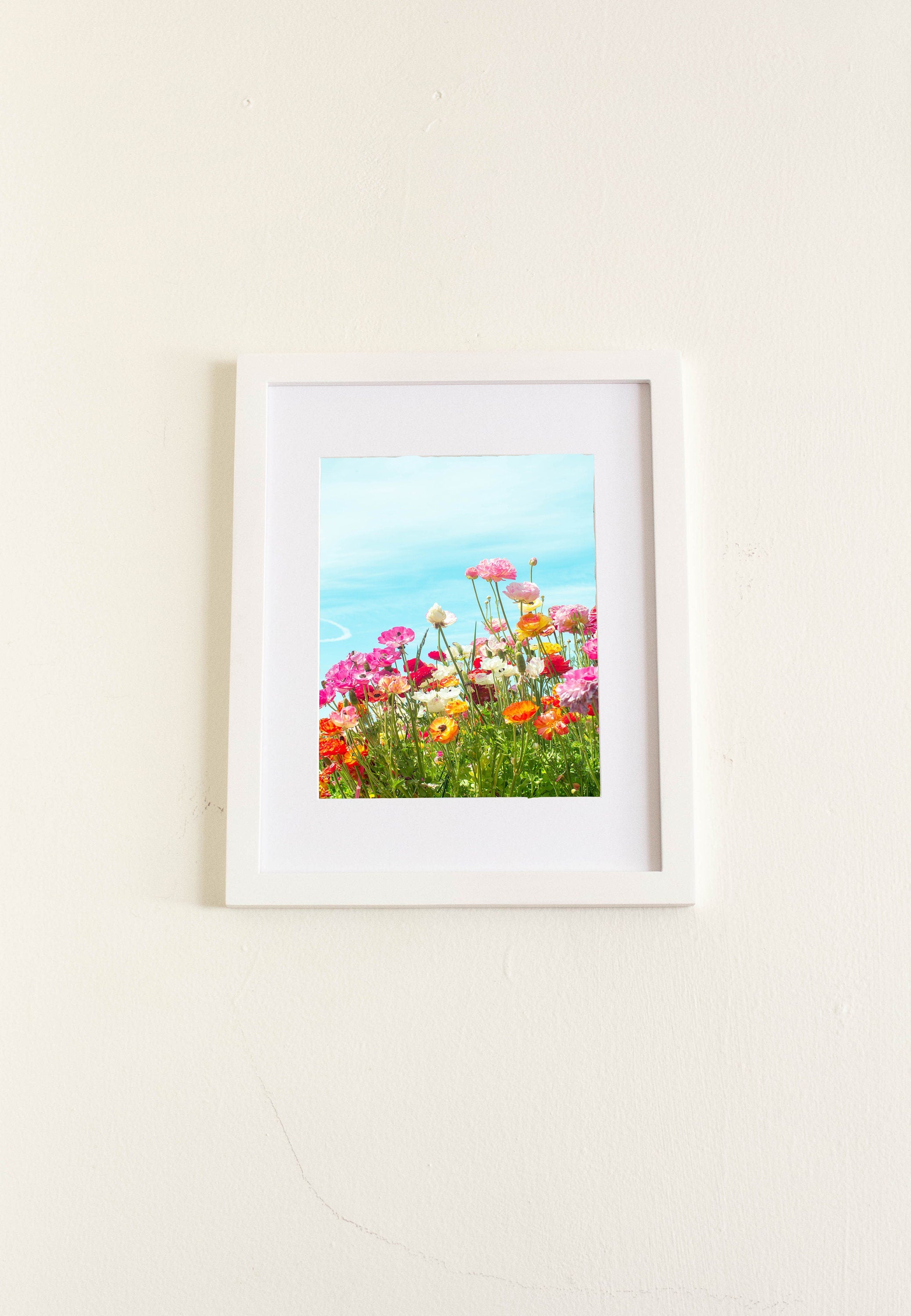 Colorful Floral Print
